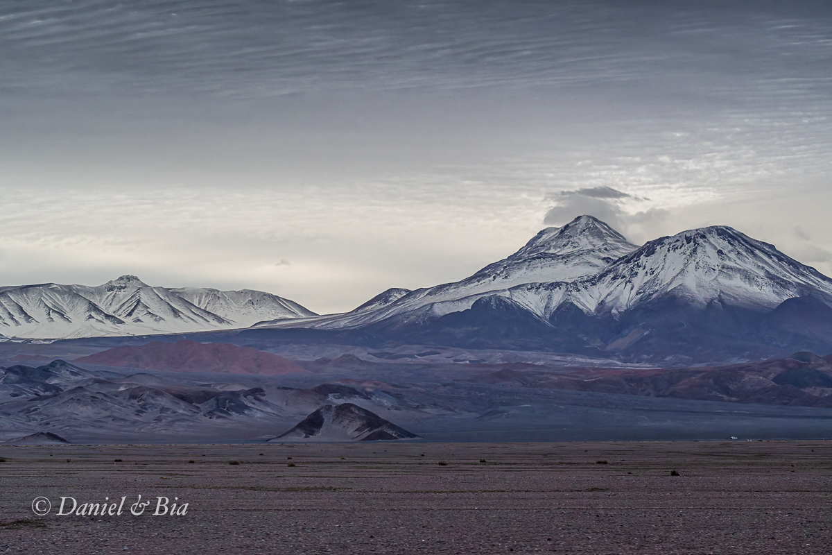 Laguna Chaxa, Reserva Nacional los Flamencos,  San Pedro de Atacama, Chile, 17/08/2026. Foto Daniel e Bia.