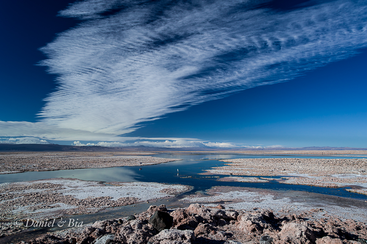 Laguna Chaxa, Reserva Nacional los Flamencos,  San Pedro de Atacama, Chile, 17/08/2026. Foto Daniel e Bia.