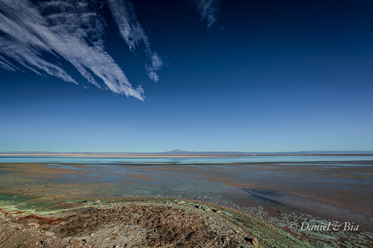 Laguna Chaxa, Reserva Nacional los Flamencos,  San Pedro de Atacama, Chile, 17/08/2026. Foto Daniel e Bia.