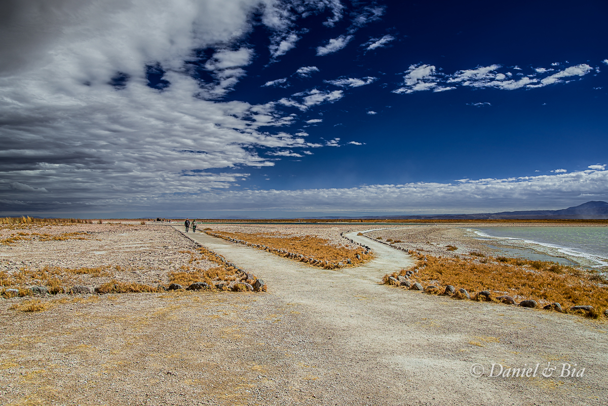 Laguna Cejar, San Pedro de Atacama, Chile, 17/08/2026. Foto Daniel e Bia.