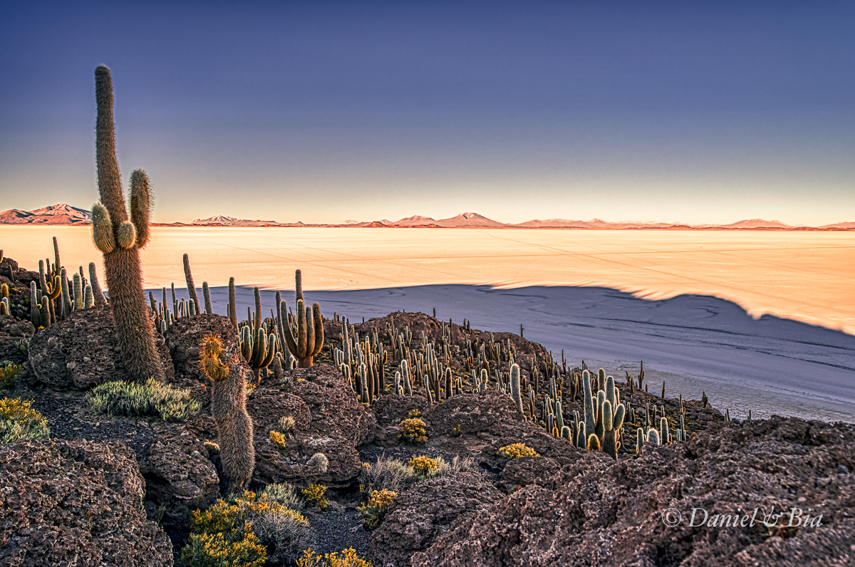 Isla Incahuasi (Pescadores), Salar Uyuni, Bolívia, 21/08/2026. Foto Daniel e Bia.