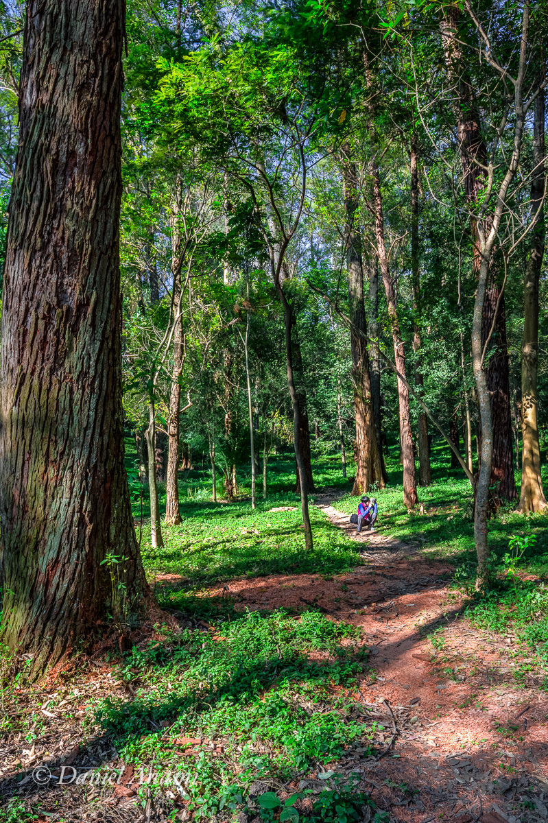 Agachadinha para a foto! Parque da Aclimação, 26/06/2016. Foto Daniel Anami.
