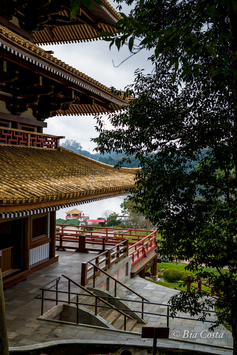 Telhas douradas da Torre de Miroku, Ribeirão Pires, SP, 09/07/2025. Foto Bia Costa.