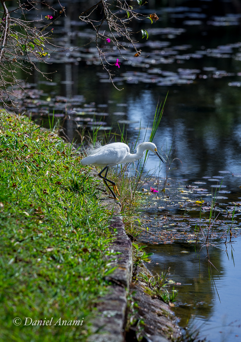 Jardim Botânico de São Paulo, 15/06/2019. Foto Daniel Anami.