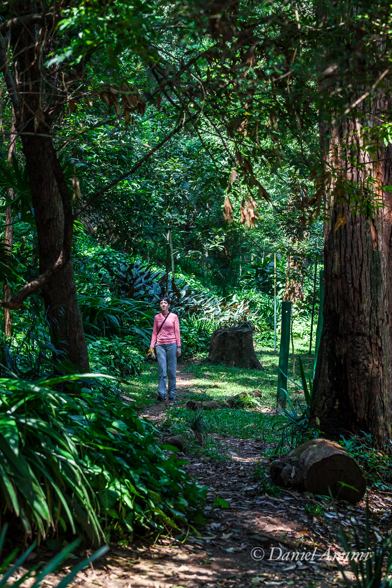 Cansada de procurar o lobo mau no Parque da Aclimação, São Paulo, 28/03/15. Foto Daniel Anami.