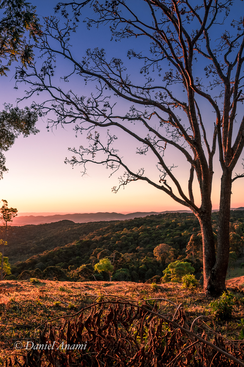 Serra da Pedra Branca, Pedralva, MG, 25/08/2020. Foto Daniel Anami.
