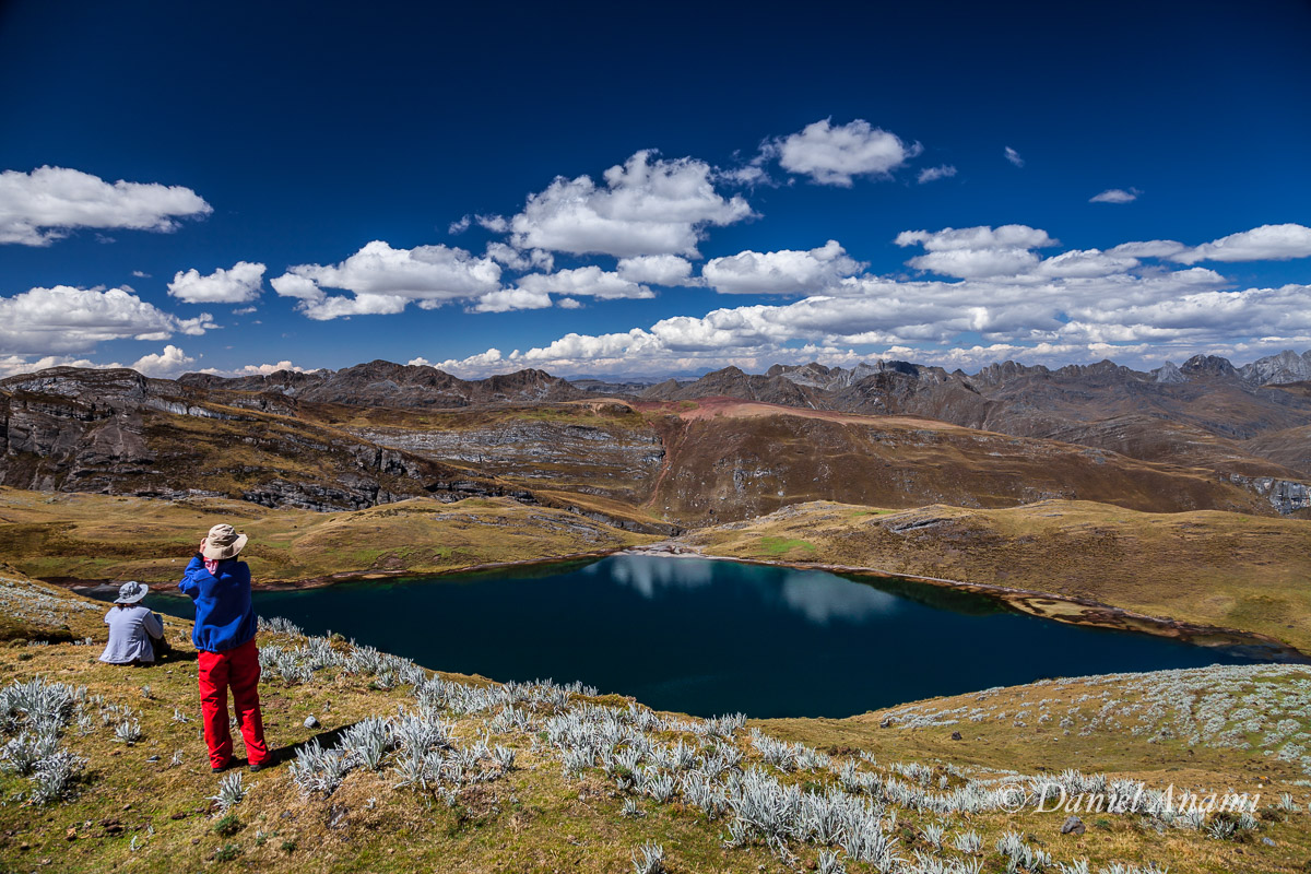 Flores submarinas no 2º passo (4.719m) / Laguna Alcayacocha (4.670m): passo alternativo, mais interessante e com uma escalada solo (sem equipamentos de segurança) 20/08/13. Foto Daniel Anami.