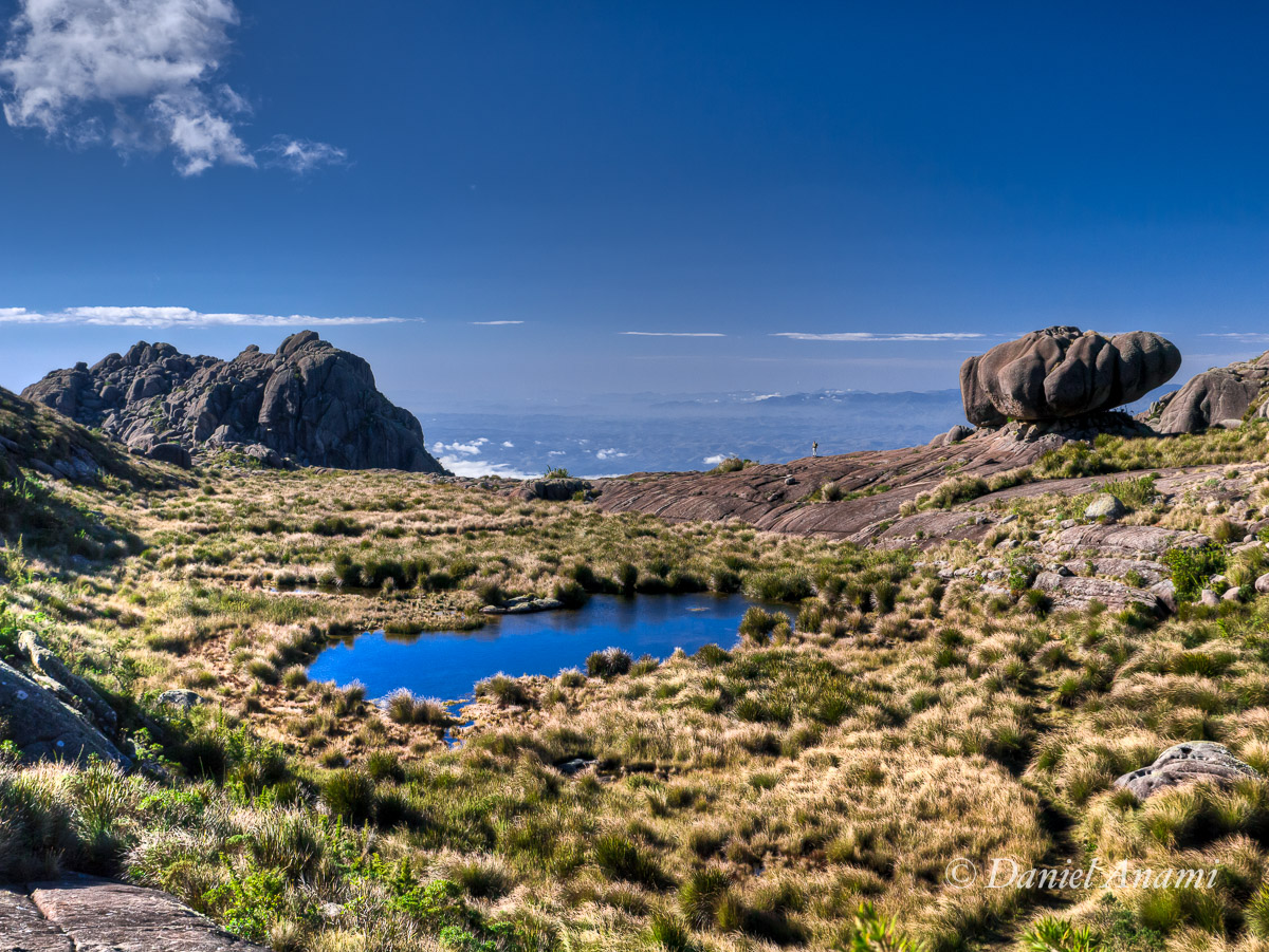 Formiga bípede faz pose atrás do lago das Prateleiras e da Pedra da Tartaruga, PNI,
                                Itatiaia 14/07/13. Foto Daniel Anami.