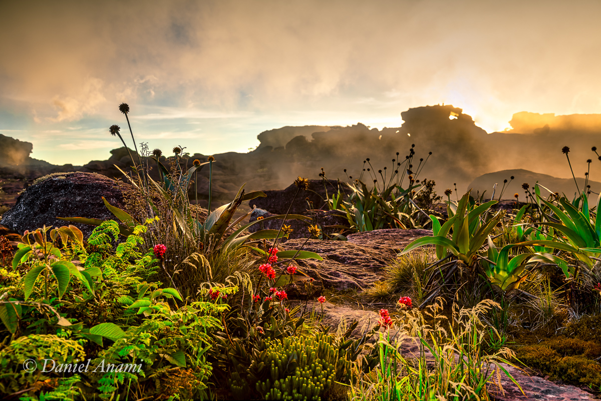 O furo do sol, o fusca e o fiat 147 compõe a paisagem do fim de tarde. 19/03/2016. Foto Daniel Anami.