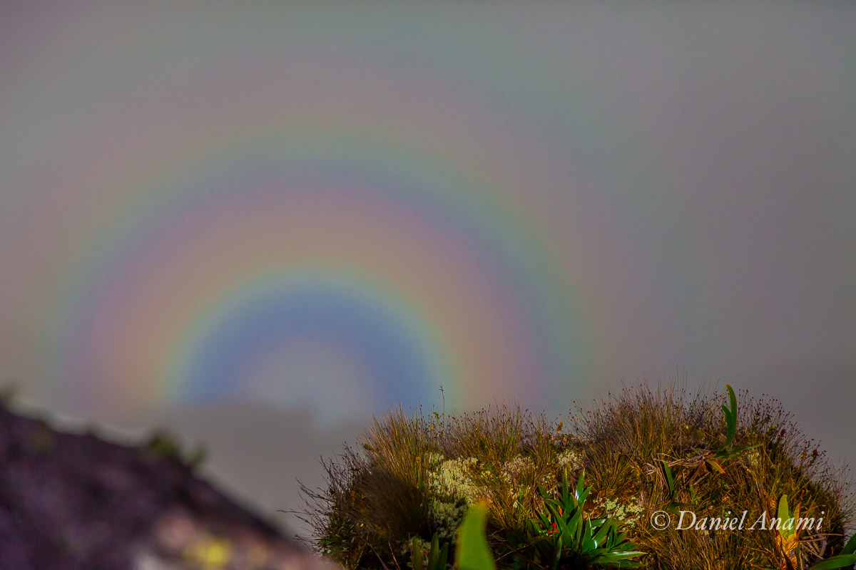 Mais um espectro de Broken para a nossa coleção. Mesmo com paisagem escondida, belezas da natureza! 19/03/2016. Foto Daniel Anami.
