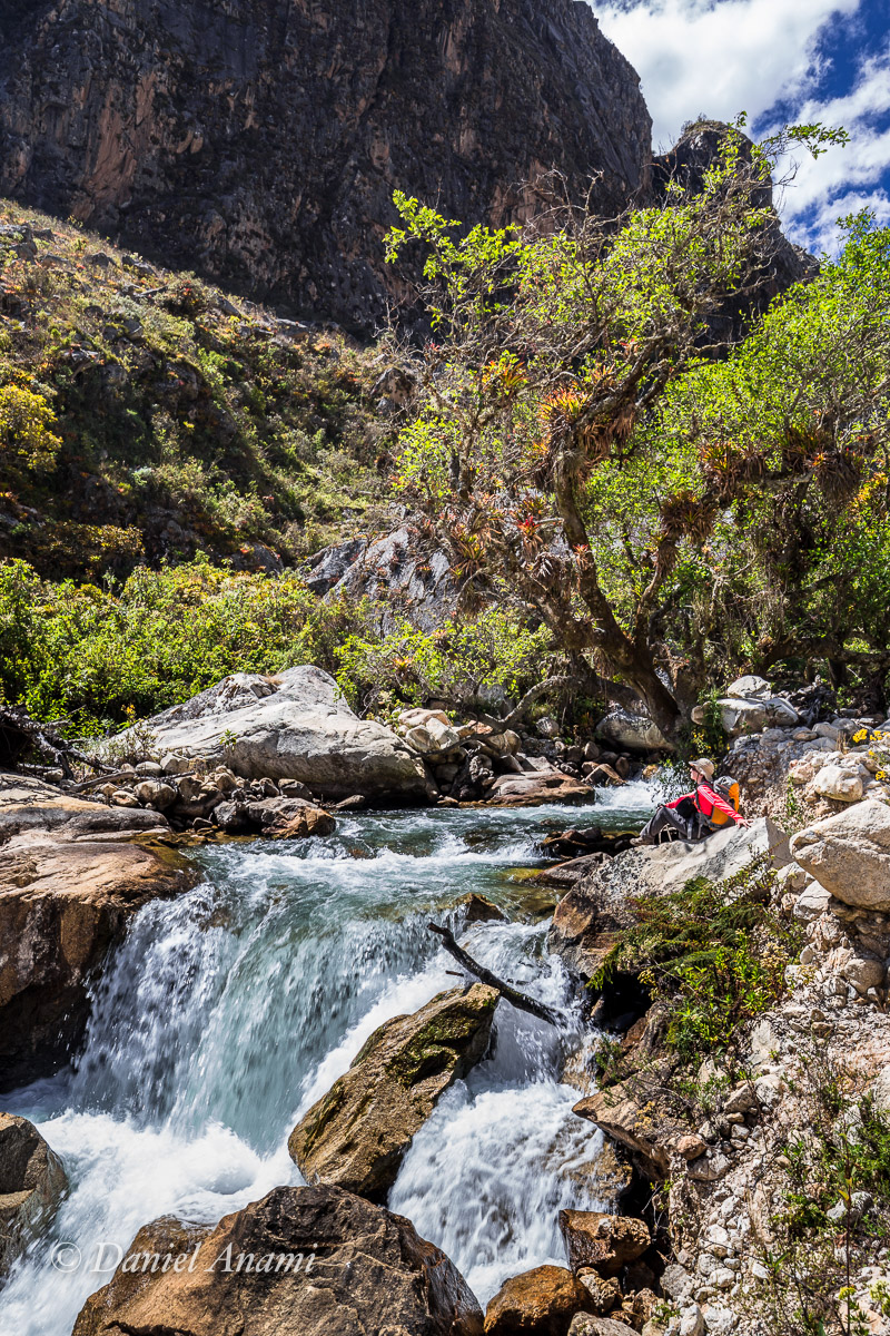 Bromélia humana. Cordillera Blanca / Quebrada Santa Cruz - 04/07/17. Foto Daniel Anami.