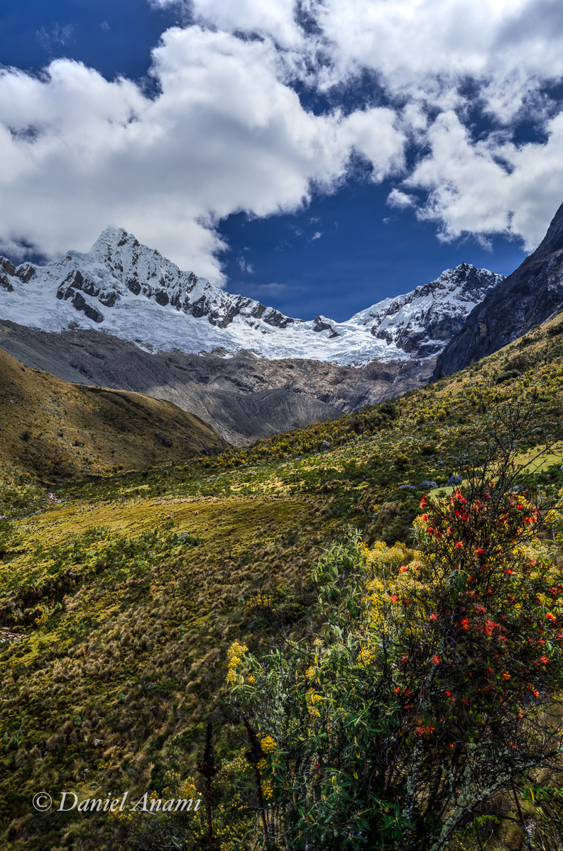 Nevado perdido entre flores. Cordillera Blanca / Trilha do CB Alpamayo - 05/07/17. Foto Daniel Anami.