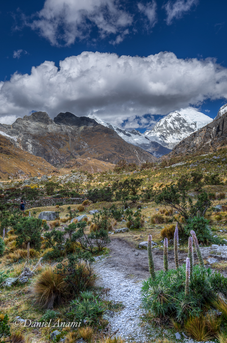 Um é meio torto. Cordillera Blanca / Trilha baixa da Laguna 69 - 10/07/17. Foto Daniel Anami.
