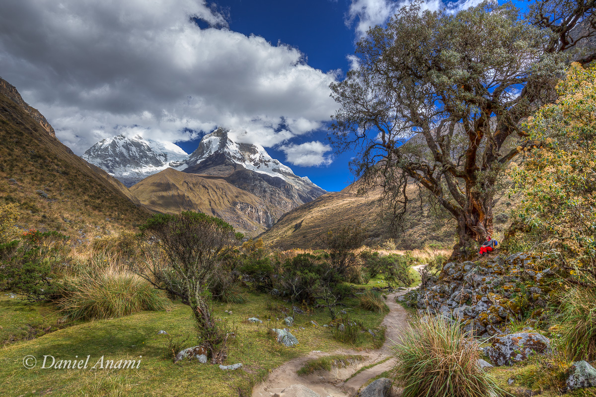 As sobreviventes. Cordillera Blanca / Trilha baixa da Laguna 69 / Quebrada Demanda - 10/07/17. Foto Daniel Anami.