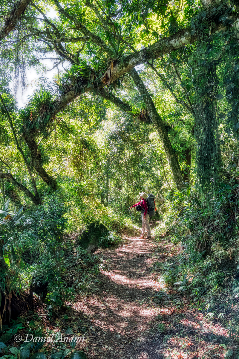 No fim é verde. Travessia Petro-Terê, PNSO, 17/08/2019. Foto Daniel Anami.