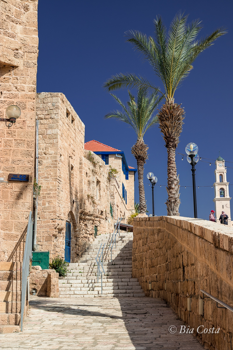 Israel, 20/02/2023. Foto Bia Costa.