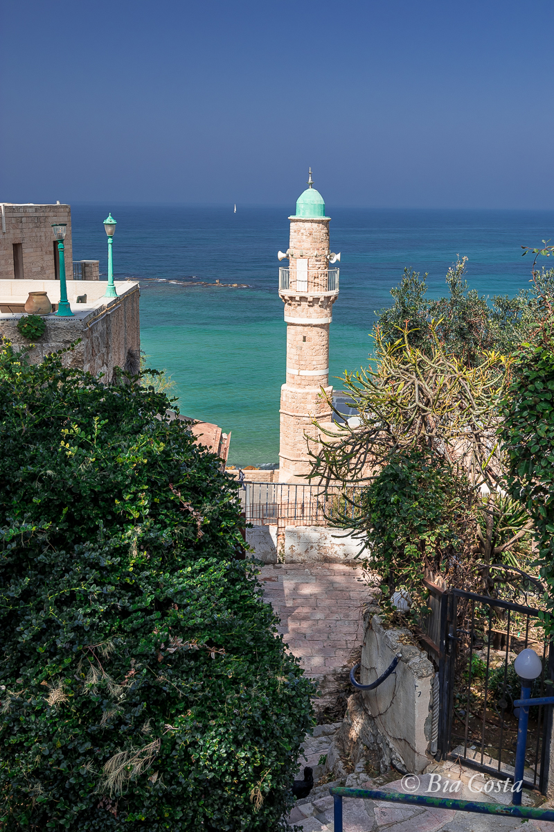 Israel, 20/02/2023. Foto Bia Costa.