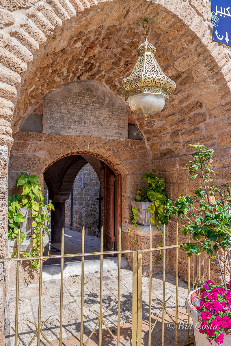 Israel, 20/02/2023. Foto Bia Costa.