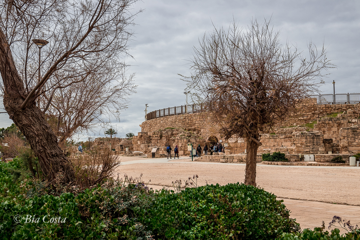 Israel, 21/02/2023. Foto Bia Costa.