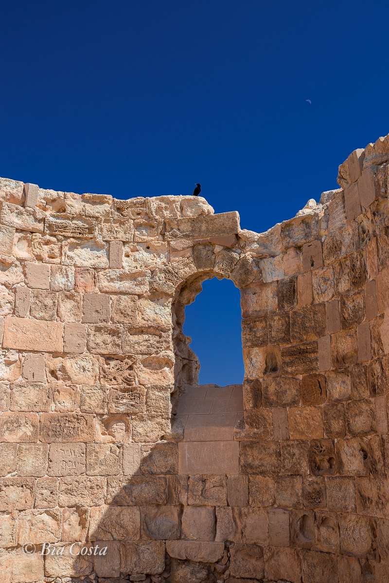 Israel, 26/02/2023. Foto Bia Costa.