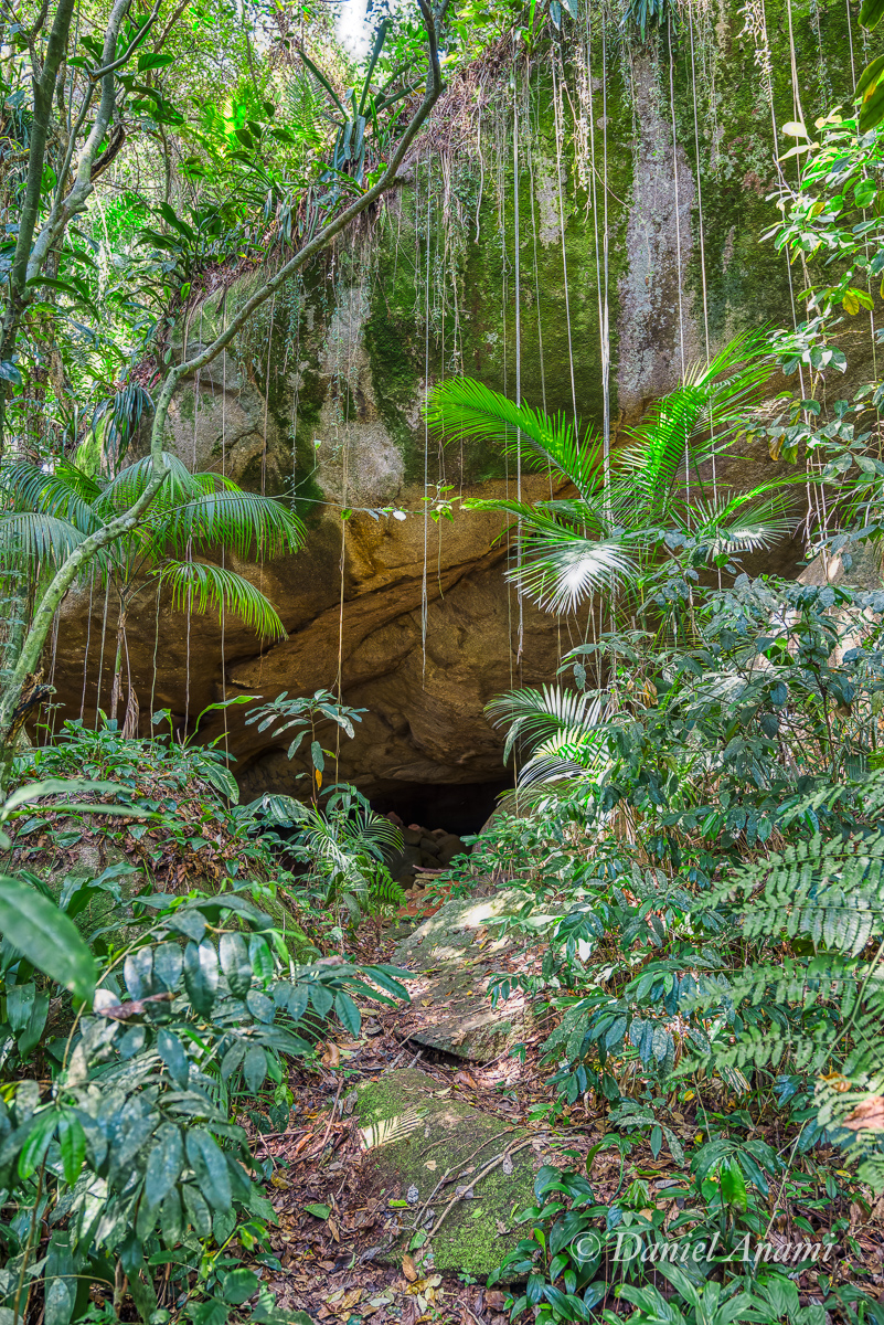 Trilha da Cabeça do Índio, Trindade, Parati, RJ, 25/09/2024. Foto Daniel Anami.