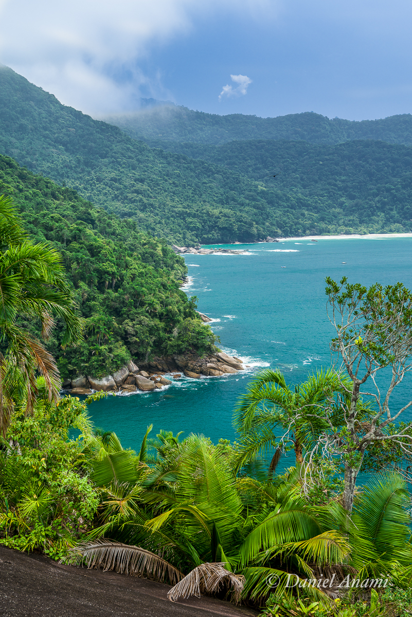 Trilha da Cabeça do Índio, Trindade, Parati, RJ, 25/09/2024. Foto Daniel Anami.