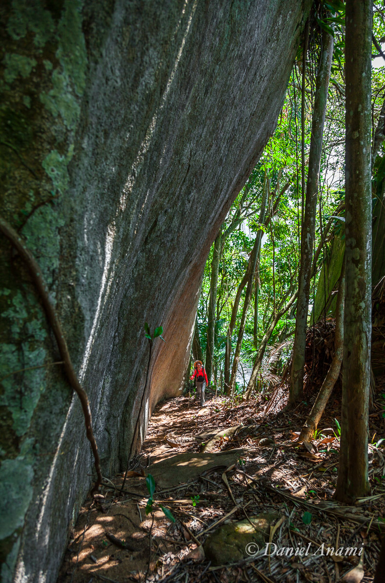 Entre rochas e árvores na trilha da Cabeça do Índio, Trindade, Paraty, 30/08/15. Foto Daniel Anami.