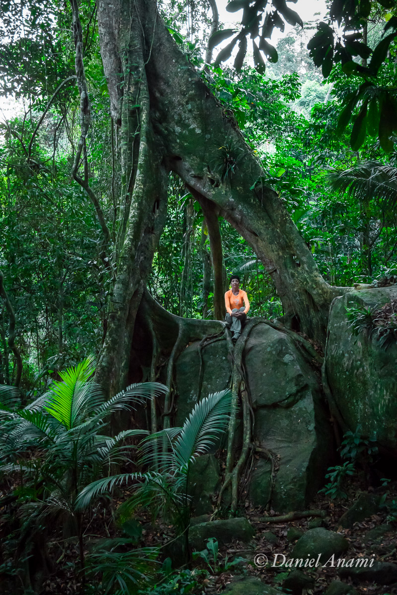 Brincando de Curupira. Trilha da Praia do Sono, Laranjeiras, Paraty, 31/08/15. Foto Daniel Anami.